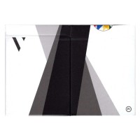 Bicycle Virtuoso P1 Limited Edition Oyun Kağıdı Limited Edition iskambil Kartları